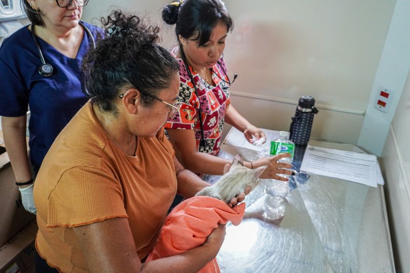  <div class='credito_fotos'>Foto: João Pedro Rodrigues &nbsp;&nbsp;|&nbsp;&nbsp; <a href='/midias/2025/originais/9162_d4b50c8f-8e58-aff0-0694-ee4eee08f4cb.jpg' download><i class='fa-solid fa-download'></i> Download</a></div>