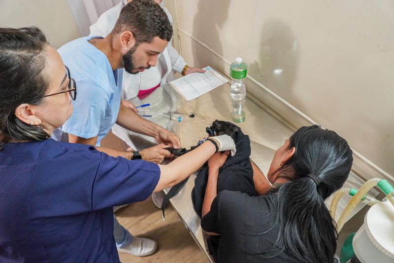  <div class='credito_fotos'>Foto: João Pedro Rodrigues &nbsp;&nbsp;|&nbsp;&nbsp; <a href='/midias/2025/originais/9162_ef5b5678-169f-fb21-d03e-a8b89d99e0d2.jpg' download><i class='fa-solid fa-download'></i> Download</a></div>