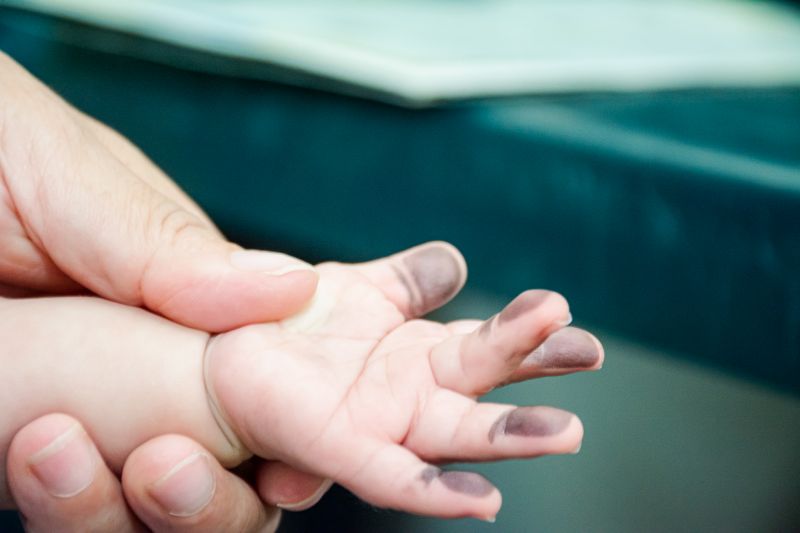  <div class='credito_fotos'>Foto: Karla Reis &nbsp;&nbsp;|&nbsp;&nbsp; <a href='/midias/2025/originais/9165_55874b63-a51b-a3e7-4835-bd66fc9f7a12.jpg' download><i class='fa-solid fa-download'></i> Download</a></div>