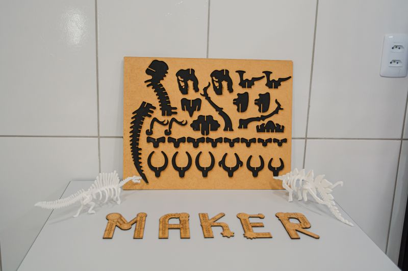  <div class='credito_fotos'>Foto: Karla Reis &nbsp;&nbsp;|&nbsp;&nbsp; <a href='/midias/2025/originais/9175_84bcbccb-6e96-363f-a762-7c6e1f068529.jpg' download><i class='fa-solid fa-download'></i> Download</a></div>