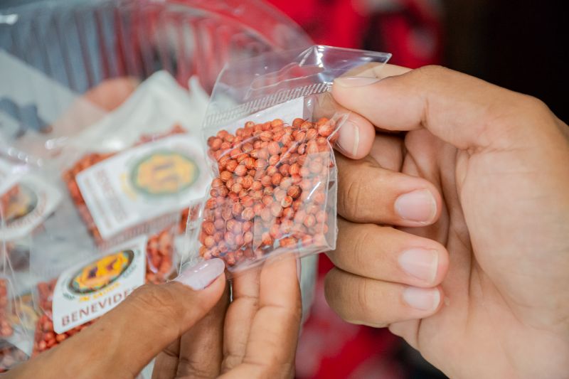  <div class='credito_fotos'>Foto: Karla Reis &nbsp;&nbsp;|&nbsp;&nbsp; <a href='/midias/2025/originais/9185_ae04c19f-4e87-8796-35aa-79e45b37cd1a.jpg' download><i class='fa-solid fa-download'></i> Download</a></div>