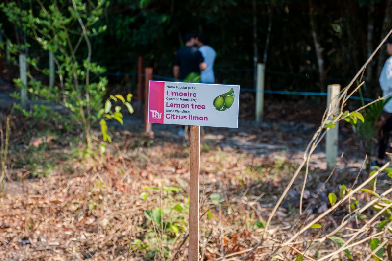  <div class='credito_fotos'>Foto: Karla Reis &nbsp;&nbsp;|&nbsp;&nbsp; <a href='/midias/2025/originais/9188_3419acae-0724-8db5-a507-febb675388e8.jpg' download><i class='fa-solid fa-download'></i> Download</a></div>