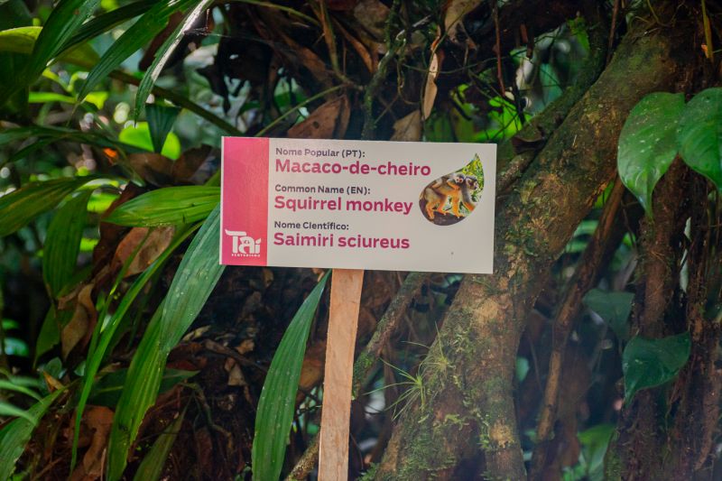  <div class='credito_fotos'>Foto: Karla Reis &nbsp;&nbsp;|&nbsp;&nbsp; <a href='/midias/2025/originais/9188_7568da99-8c78-7a2a-9fd3-60db69325e57.jpg' download><i class='fa-solid fa-download'></i> Download</a></div>