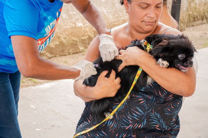  <div class='credito_fotos'>Foto: Karla Reis &nbsp;&nbsp;|&nbsp;&nbsp; <a href='/midias/2025/originais/9189_3fac12f5-e02c-b67e-edf3-7292445fb23d.jpg' download><i class='fa-solid fa-download'></i> Download</a></div>