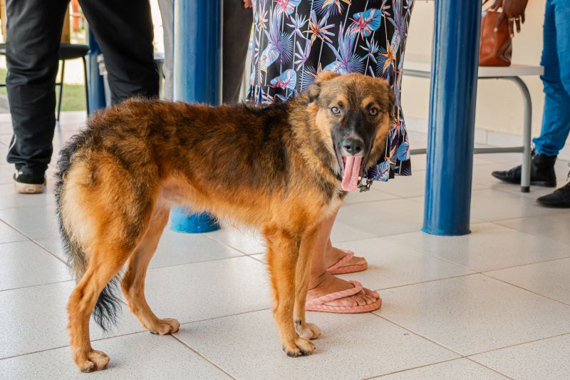  <div class='credito_fotos'>Foto: Karla Reis &nbsp;&nbsp;|&nbsp;&nbsp; <a href='/midias/2025/originais/9189_713669ae-ddec-c989-4fb7-4aa3ef26771c.jpg' download><i class='fa-solid fa-download'></i> Download</a></div>