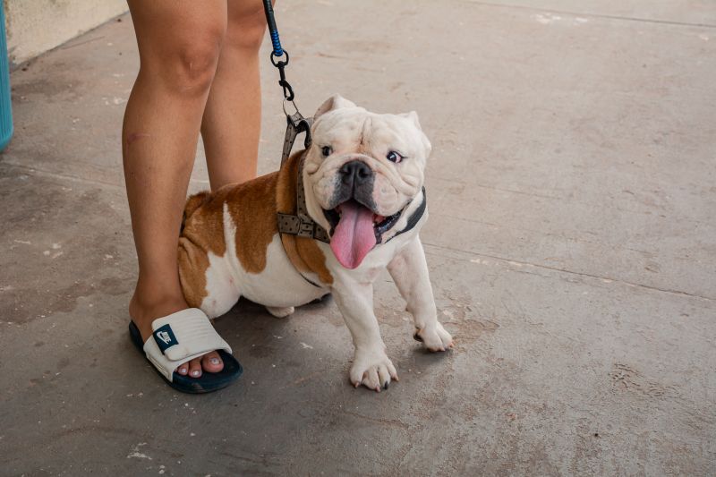  <div class='credito_fotos'>Foto: Karla Reis &nbsp;&nbsp;|&nbsp;&nbsp; <a href='/midias/2025/originais/9189_77550e8e-ce10-49c2-aa1a-e2ec1999c8bc.jpg' download><i class='fa-solid fa-download'></i> Download</a></div>