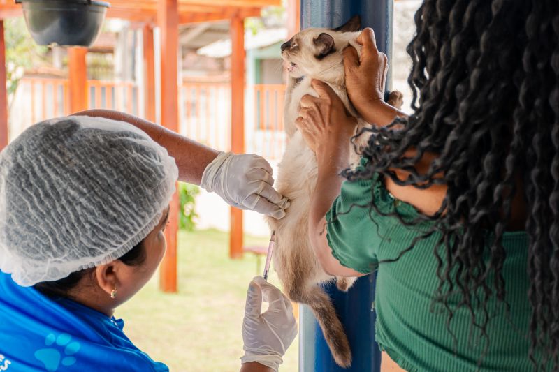  <div class='credito_fotos'>Foto: Karla Reis &nbsp;&nbsp;|&nbsp;&nbsp; <a href='/midias/2025/originais/9189_80a8b3ea-ebed-c6e7-6756-0a3d7def6546.jpg' download><i class='fa-solid fa-download'></i> Download</a></div>