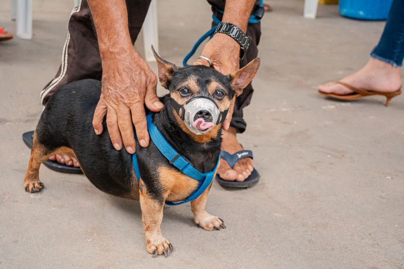  <div class='credito_fotos'>Foto: Karla Reis &nbsp;&nbsp;|&nbsp;&nbsp; <a href='/midias/2025/originais/9189_91c4a9c6-7a6d-9c75-7e21-65c5d8580692.jpg' download><i class='fa-solid fa-download'></i> Download</a></div>