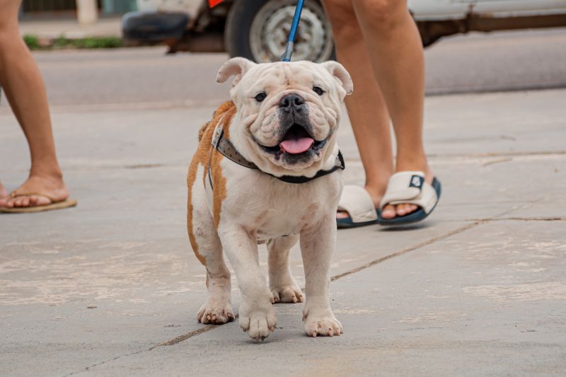  <div class='credito_fotos'>Foto: Karla Reis &nbsp;&nbsp;|&nbsp;&nbsp; <a href='/midias/2025/originais/9189_be2b480d-8daa-87df-65d1-28b005065e14.jpg' download><i class='fa-solid fa-download'></i> Download</a></div>