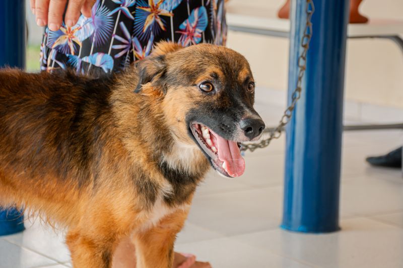  <div class='credito_fotos'>Foto: Karla Reis &nbsp;&nbsp;|&nbsp;&nbsp; <a href='/midias/2025/originais/9189_bfbee80d-d916-501d-8e3b-c8db351df156.jpg' download><i class='fa-solid fa-download'></i> Download</a></div>