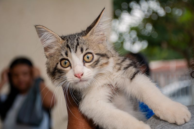  <div class='credito_fotos'>Foto: Karla Reis &nbsp;&nbsp;|&nbsp;&nbsp; <a href='/midias/2025/originais/9189_ca647c91-6166-6cb3-1832-ac4cd0b58554.jpg' download><i class='fa-solid fa-download'></i> Download</a></div>