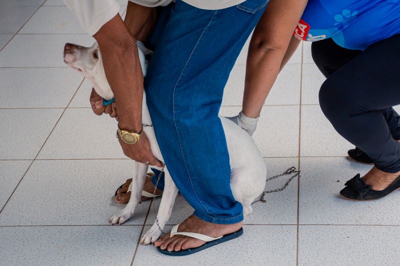  <div class='credito_fotos'>Foto: Karla Reis &nbsp;&nbsp;|&nbsp;&nbsp; <a href='/midias/2025/originais/9189_d43f7484-de88-9b63-5543-003d53af9fd5.jpg' download><i class='fa-solid fa-download'></i> Download</a></div>