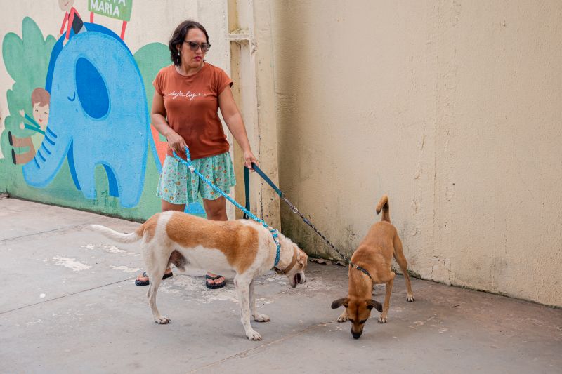  <div class='credito_fotos'>Foto: Karla Reis &nbsp;&nbsp;|&nbsp;&nbsp; <a href='/midias/2025/originais/9189_f33f793c-6f67-6f45-4c41-60c8aaa15bb1.jpg' download><i class='fa-solid fa-download'></i> Download</a></div>