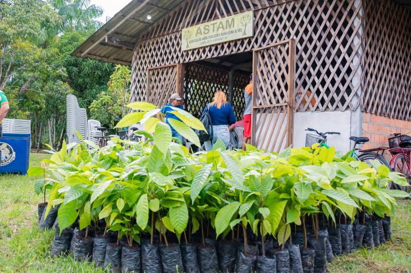 Crédito: Karla Reis / CECOM Benevides