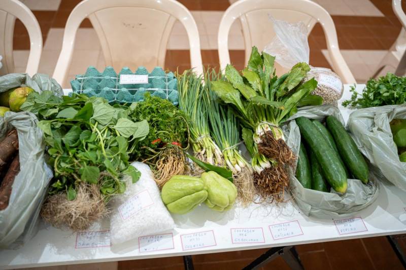 Benevides lança Plano Municipal de Segurança Alimentar 