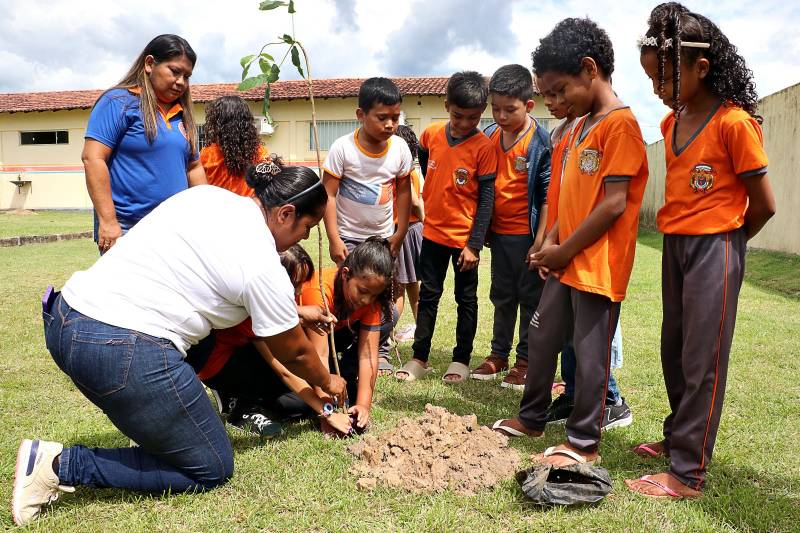 Mãos na terra para um futuro melhor! O trote ecológico na Escola Ronaldo Rossi ensina na prática sobre sustentabilidade e cuidado com o nosso planeta.