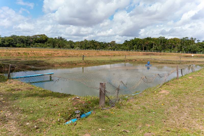 A Chácara IKIGAI foi a base para o evento, por ser uma propriedade de referência e grande parceira da Prefeitura de Benevides.