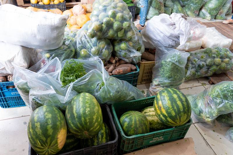 Do campo à escola: a Prefeitura de Benevides garante que os alimentos mais nutritivos e frescos cheguem à mesa de mais de 15 mil alunos.