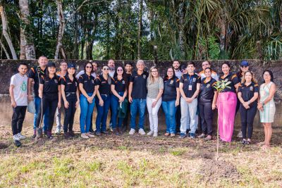 galeria: PLANTIO SEMMAT