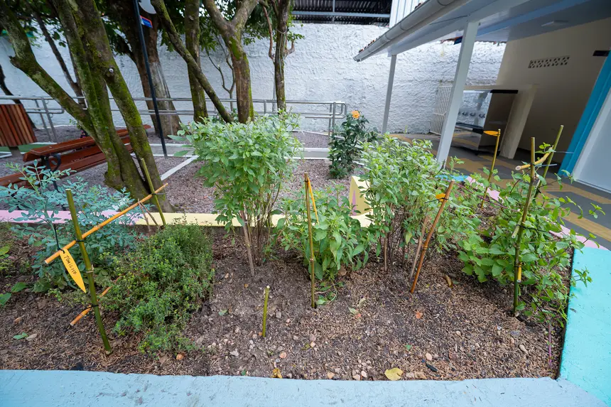  <div class='credito_fotos'>Foto: Heloam Sousa &nbsp;&nbsp;|&nbsp;&nbsp; <a href='/midias/2026/originais/20260227122530-GF00009324-F00112002.webp' download><i class='fa-solid fa-download'></i> Download</a></div>