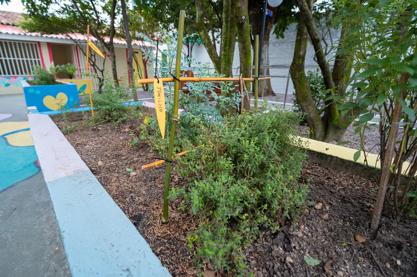  <div class='credito_fotos'>Foto: Heloam Sousa &nbsp;&nbsp;|&nbsp;&nbsp; <a href='/midias/2026/originais/20260227122532-GF00009324-F00112003.webp' download><i class='fa-solid fa-download'></i> Download</a></div>