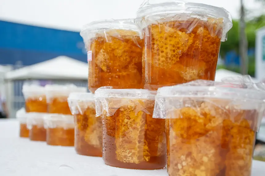  <div class='credito_fotos'>Foto: Karla Reis &nbsp;&nbsp;|&nbsp;&nbsp; <a href='/midias/2026/originais/20260228163507-GF00009325-F00112092.webp' download><i class='fa-solid fa-download'></i> Download</a></div>