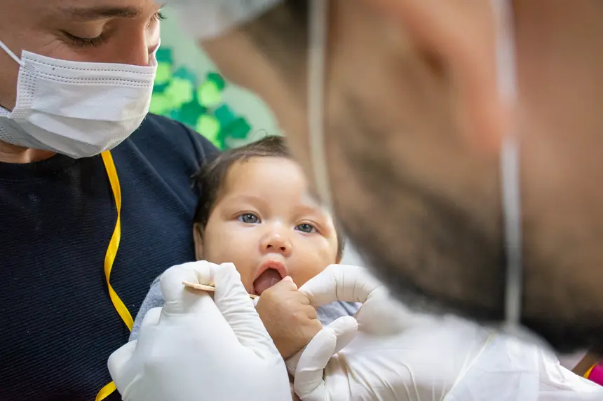  <div class='credito_fotos'>Foto: Karla Reis &nbsp;&nbsp;|&nbsp;&nbsp; <a href='/midias/2026/originais/20260228163617-GF00009325-F00112148.webp' download><i class='fa-solid fa-download'></i> Download</a></div>