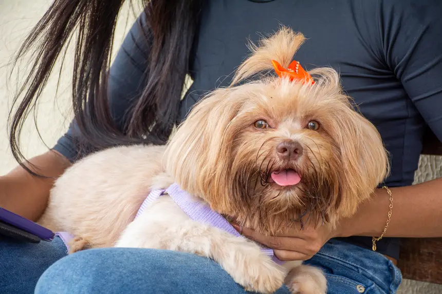  <div class='credito_fotos'>Foto: Karla Reis &nbsp;&nbsp;|&nbsp;&nbsp; <a href='/midias/2026/originais/20260303154847-GF00009327-F00112250.webp' download><i class='fa-solid fa-download'></i> Download</a></div>