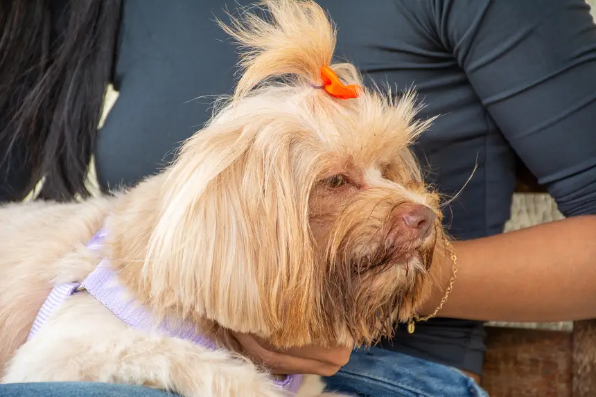  <div class='credito_fotos'>Foto: Karla Reis &nbsp;&nbsp;|&nbsp;&nbsp; <a href='/midias/2026/originais/20260303154848-GF00009327-F00112251.webp' download><i class='fa-solid fa-download'></i> Download</a></div>