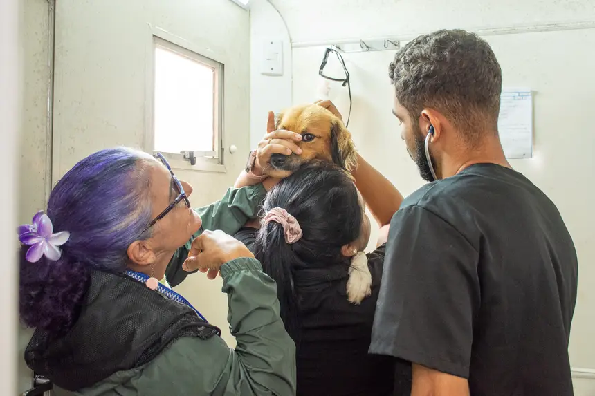  <div class='credito_fotos'>Foto: Karla Reis &nbsp;&nbsp;|&nbsp;&nbsp; <a href='/midias/2026/originais/20260303154926-GF00009327-F00112280.webp' download><i class='fa-solid fa-download'></i> Download</a></div>