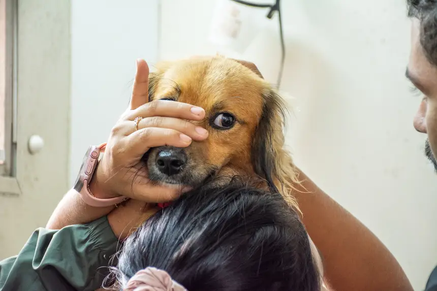  <div class='credito_fotos'>Foto: Karla Reis &nbsp;&nbsp;|&nbsp;&nbsp; <a href='/midias/2026/originais/20260303154927-GF00009327-F00112281.webp' download><i class='fa-solid fa-download'></i> Download</a></div>