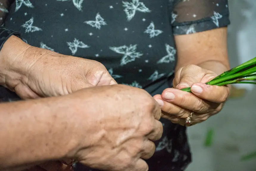  <div class='credito_fotos'>Foto: Karla Reis &nbsp;&nbsp;|&nbsp;&nbsp; <a href='/midias/2026/originais/20260314103524-GF00009342-F00112784.webp' download><i class='fa-solid fa-download'></i> Download</a></div>