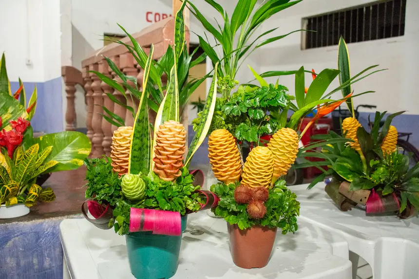  <div class='credito_fotos'>Foto: Karla Reis &nbsp;&nbsp;|&nbsp;&nbsp; <a href='/midias/2026/originais/20260314103618-GF00009342-F00112824.webp' download><i class='fa-solid fa-download'></i> Download</a></div>