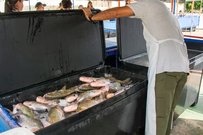  <div class='credito_fotos'>Foto: Karla Reis &nbsp;&nbsp;|&nbsp;&nbsp; <a href='/midias/2026/originais/20260330134739-GF00009361-F00113686.webp' download><i class='fa-solid fa-download'></i> Download</a></div>