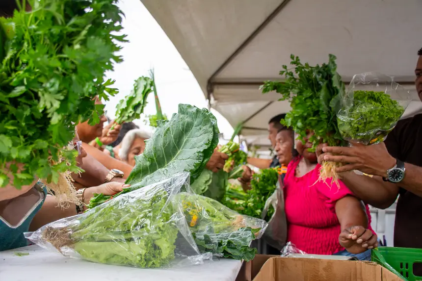  <div class='credito_fotos'>Foto: Karla Reis &nbsp;&nbsp;|&nbsp;&nbsp; <a href='/midias/2026/originais/20260402161929-GF00009368-F00114062.webp' download><i class='fa-solid fa-download'></i> Download</a></div>