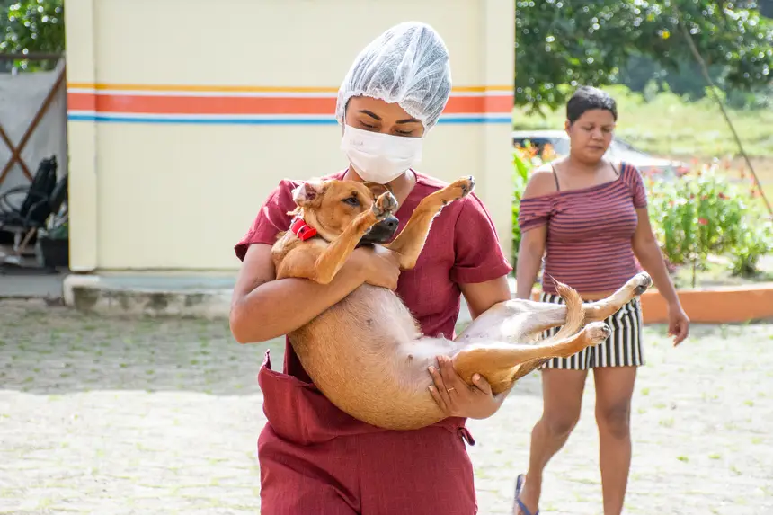  <div class='credito_fotos'>Foto: Karla Reis &nbsp;&nbsp;|&nbsp;&nbsp; <a href='/midias/2026/originais/20260409114324-GF00009369-F00114155.webp' download><i class='fa-solid fa-download'></i> Download</a></div>