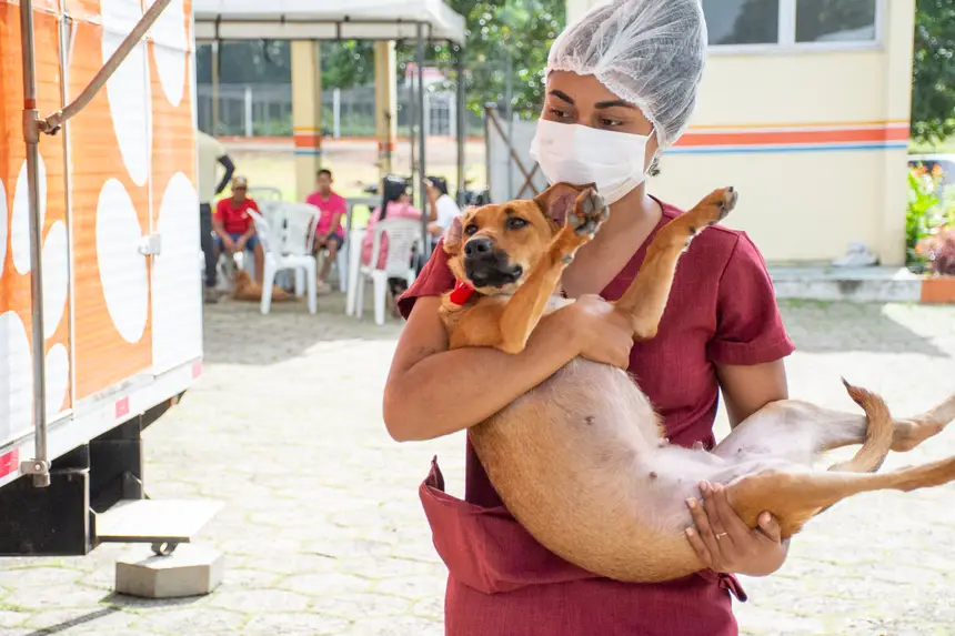  <div class='credito_fotos'>Foto: Karla Reis &nbsp;&nbsp;|&nbsp;&nbsp; <a href='/midias/2026/originais/20260409114325-GF00009369-F00114156.webp' download><i class='fa-solid fa-download'></i> Download</a></div>