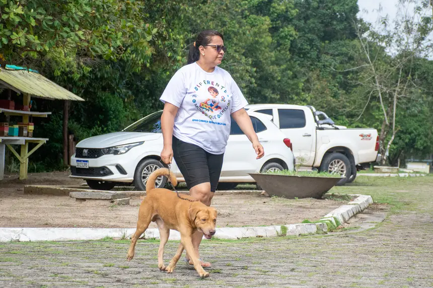  <div class='credito_fotos'>Foto: Karla Reis &nbsp;&nbsp;|&nbsp;&nbsp; <a href='/midias/2026/originais/20260409114327-GF00009369-F00114157.webp' download><i class='fa-solid fa-download'></i> Download</a></div>