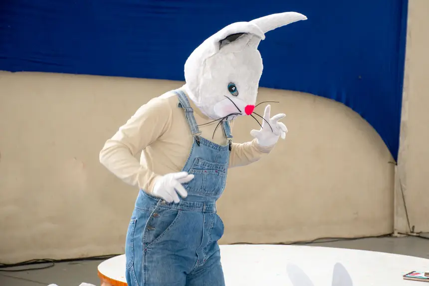  <div class='credito_fotos'>Foto: Karla Reis &nbsp;&nbsp;|&nbsp;&nbsp; <a href='/midias/2026/originais/20260411175053-GF00009371-F00114284.webp' download><i class='fa-solid fa-download'></i> Download</a></div>