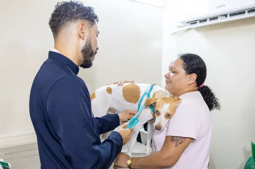  <div class='credito_fotos'>Foto: Karla Reis &nbsp;&nbsp;|&nbsp;&nbsp; <a href='/midias/2026/originais/20260825114657-GF00009517-F00121693.webp' download><i class='fa-solid fa-download'></i> Download</a></div>