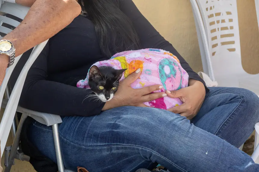  <div class='credito_fotos'>Foto: Karla Reis &nbsp;&nbsp;|&nbsp;&nbsp; <a href='/midias/2026/originais/20260826110901-GF00009518-F00121713.webp' download><i class='fa-solid fa-download'></i> Download</a></div>