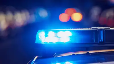 notícia: Secretaria Municipal de Meio Ambiente autua responsável por maus-tratos a animal em Benevides